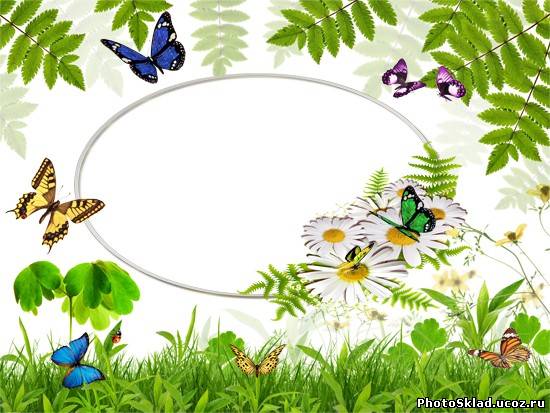 Летняя фоторамка - Прекрасные бабочки